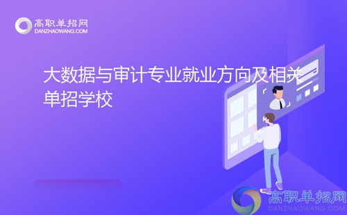 大數據與審計專業就業方向及相關單招學校技術服務